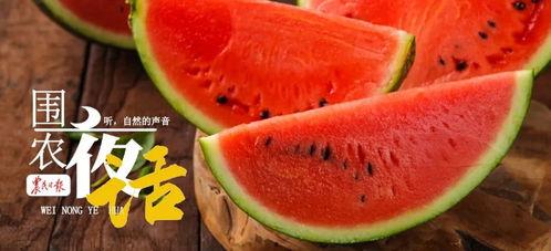 那吃瓜,那些年我们一起吃过的瓜