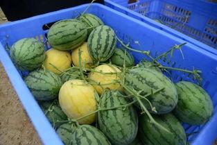 吃瓜热榜 第2页