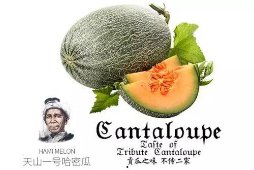 吃瓜群改名推荐,一场趣味横生的社群蜕变之旅