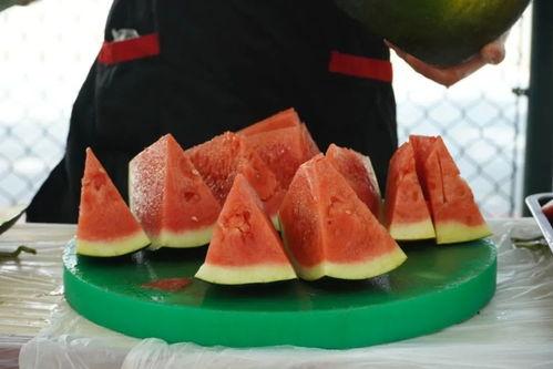 哈尔滨技术学院吃瓜,揭秘校园“吃瓜”文化现象