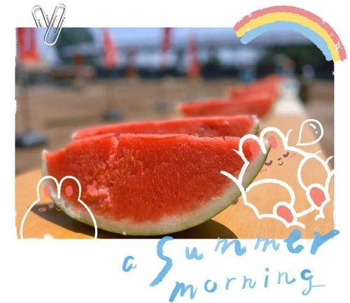 云野吃瓜现场,揭秘娱乐圈幕后风云